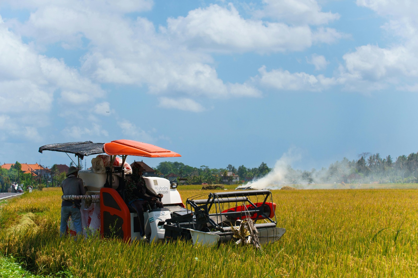 Regenerasi Petani: Ketika Harapan Besar Berhadapan Dengan Persoalan Struktural