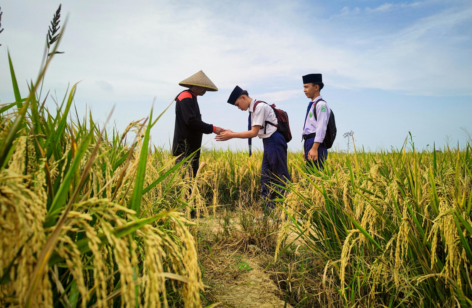 Regenerasi Petani Dan Inovasi Pendidikan, Kunci Menjaga Keberlanjutan Pangan Indonesia