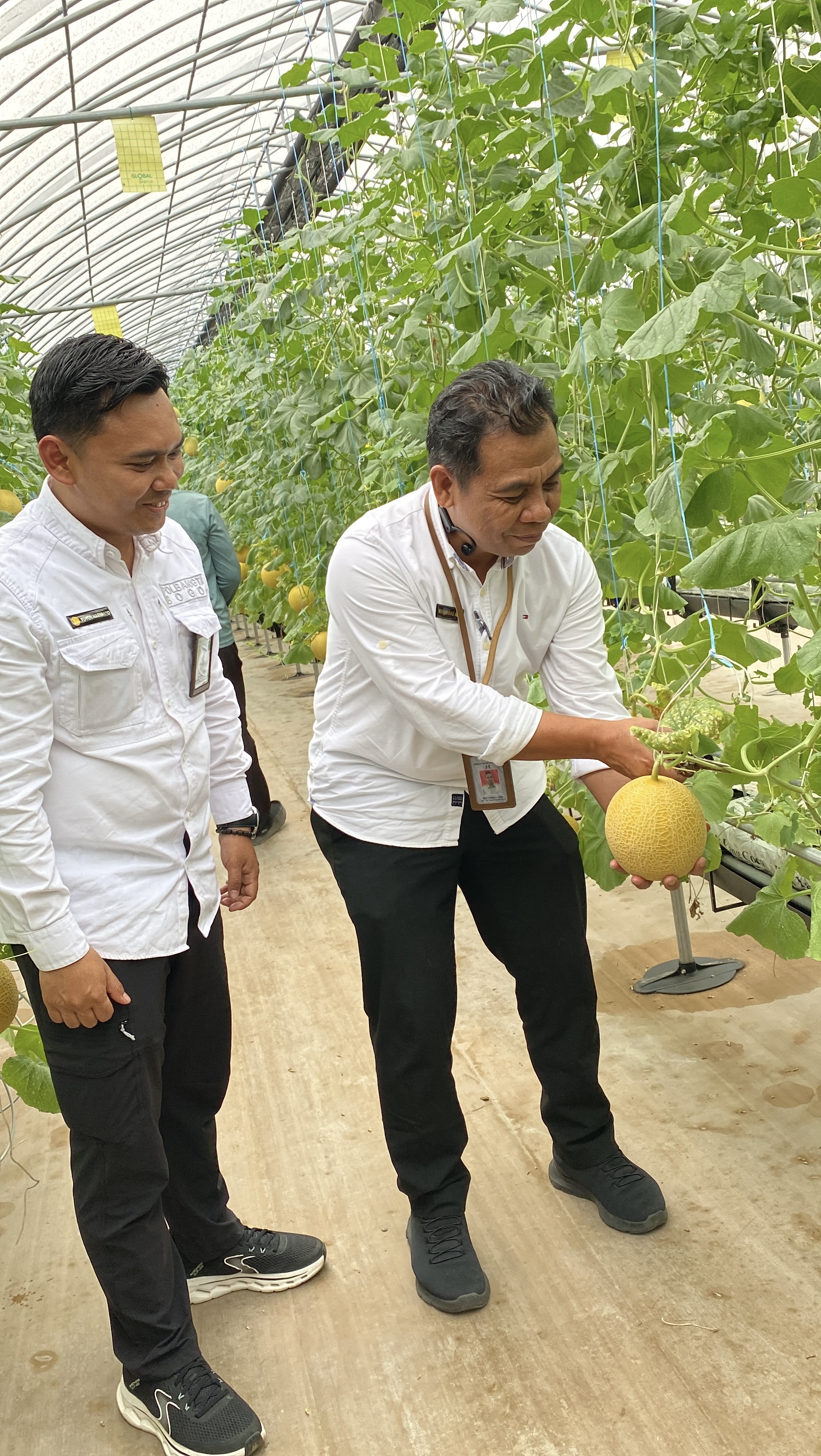 Kunjungan Kerja Kapusdiktan