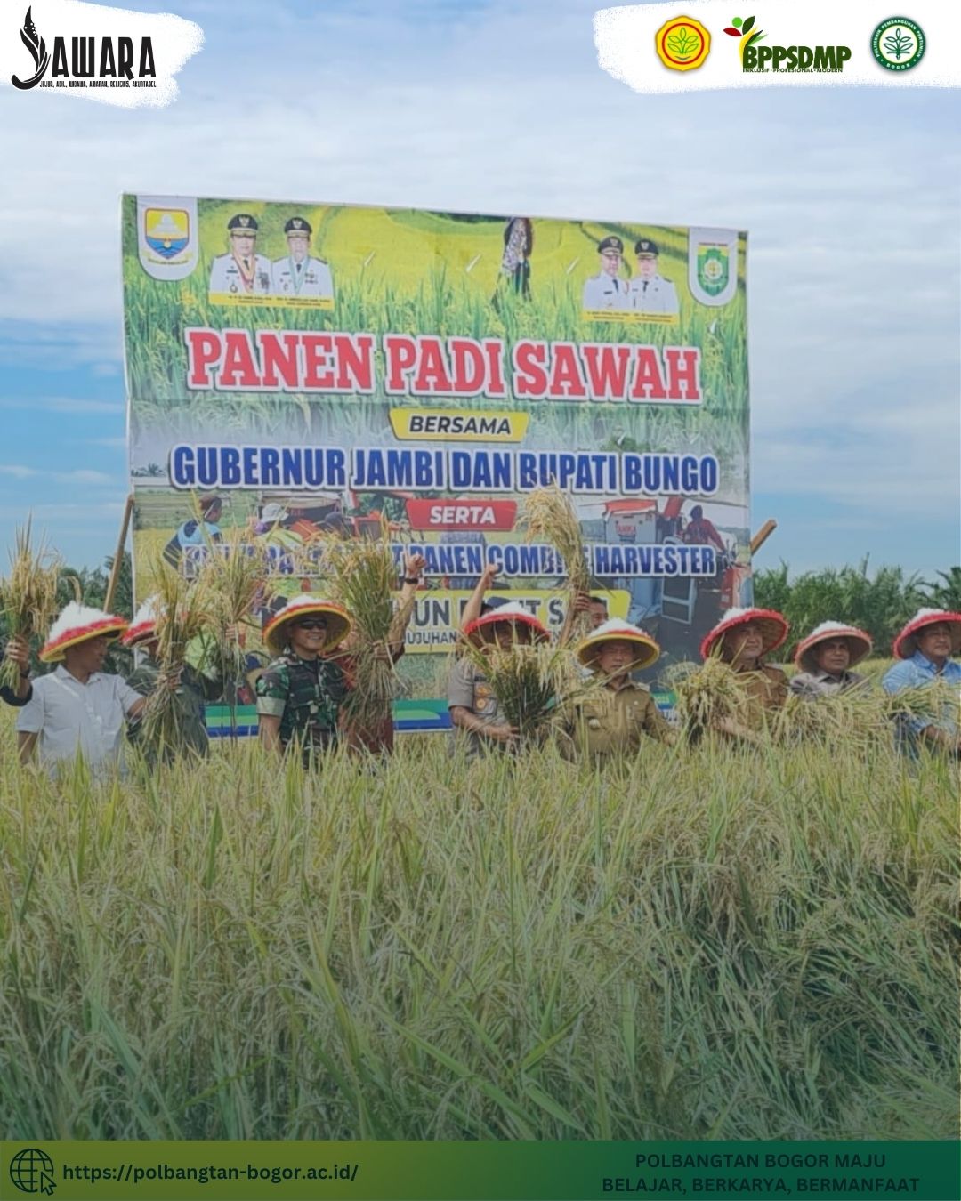 Kawal Swasembada Pangan, Polbangtan Kementan dan Gubernur Jambi Gelar Panen Raya dan Tanam Bersama