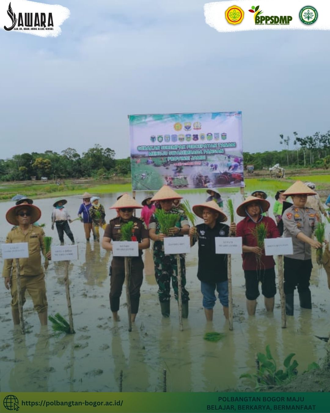 Polbangtan Kementan Dukung Gerakan Serempak Percepatan Tanam Menuju Swasembada Pangan di Jambi
