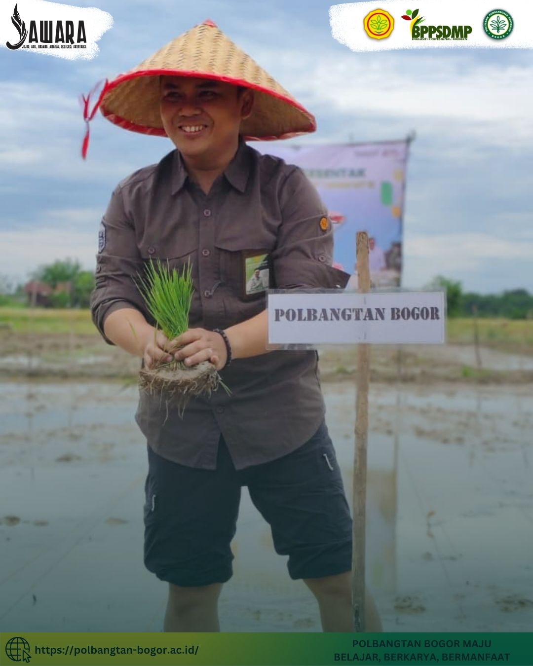 Aksi Nyata di Batanghari: Polbangtan Kementan bersama Brigade Padi Emas Gelar Gerakan Tutup Tanam Akselerasi Swasembada Pangan