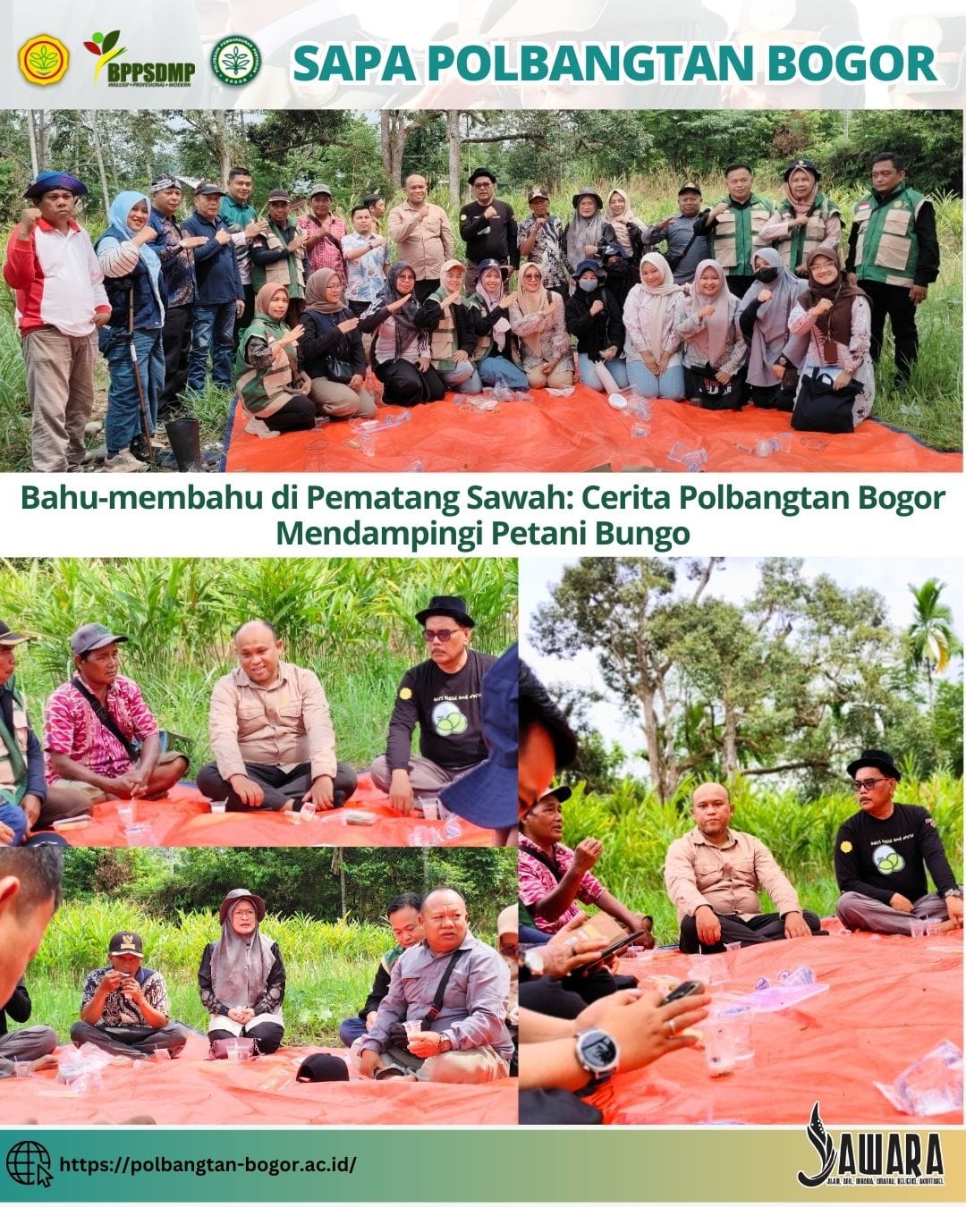 Bahu Membahu di Pematang Sawah: Cerita Polbangtan Bogor Mendampingi Petani Bungo