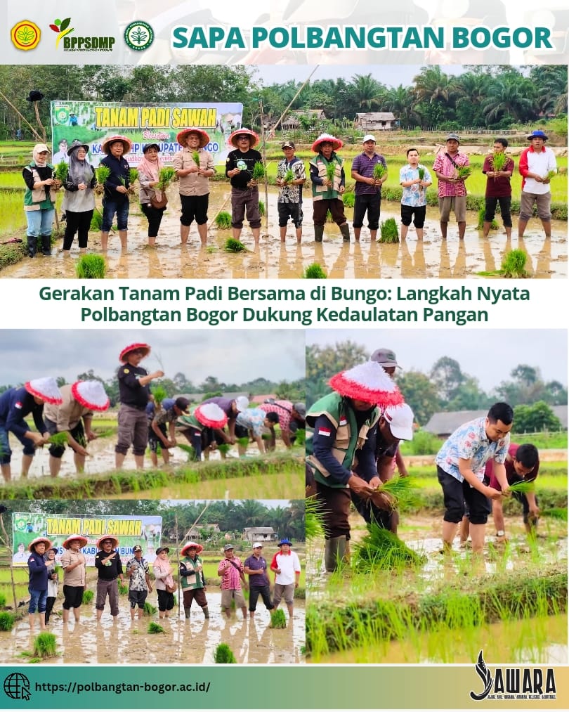 Gerakan Tanam Padi Bersama di Bungo: Langkah Nyata Polbangtan Bogor Dukung Kedaulatan Pangan
