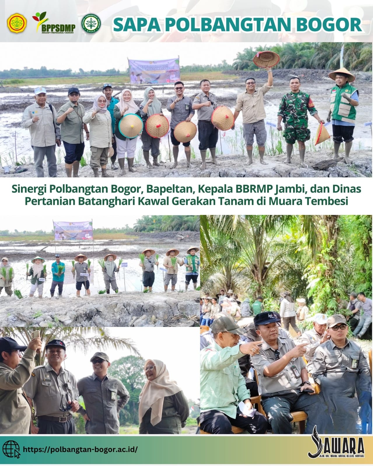 Sinergi Polbangtan Bogor, Bapeltan, Kepala BBRMP Jambi, dan Dinas Pertanian Batanghari Kawal Gerakan Tanam di Muara Tembesi