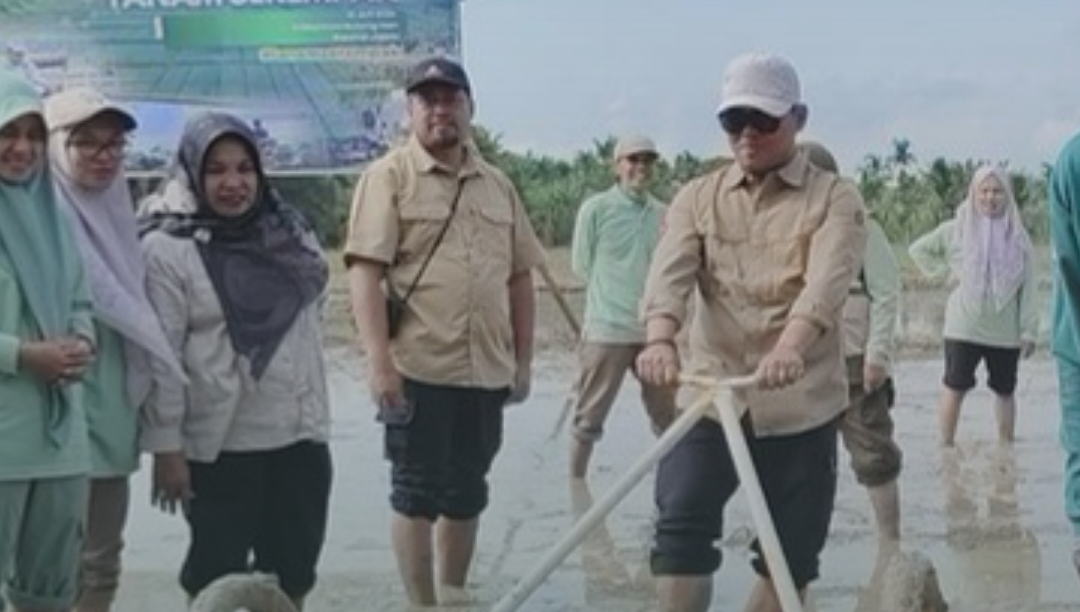 Tanam Serempak di Jambi Makin Modern, Polbangtan Kementan Dorong PM-AAS dan Inovasi Drum Seeder