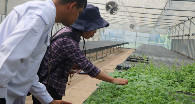 Evaluasi K-Smart Farm, Polbangtan Kementan Perkuat Smart Farming Berkelanjutan